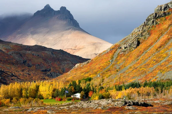 Farbenfrohe Landschaft Bei Hofn Der Südwestküste Islands — Stockfoto