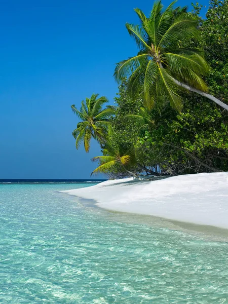热带岛屿天堂 印度洋北部马尔代夫的南阿里环礁岛 — 图库照片