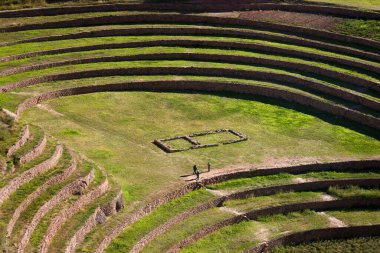 Güney Amerika, Peru 'da Urubamba yakınlarındaki Moray' de İnka terası (andenes).