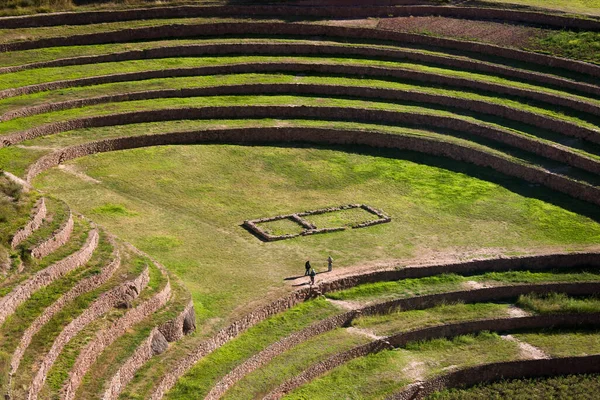Inca Terracing Andenes Στο Moray Κοντά Στην Urubamba Στο Περού — Φωτογραφία Αρχείου