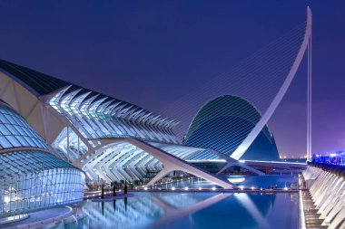 Valencia. İspanya. 06.29.12. Ciutat de les Arts i de les Ciencies (Sanat ve Bilim Şehri) İspanya 'nın Pais Valenciano bölgesindeki Valensiya şehri..