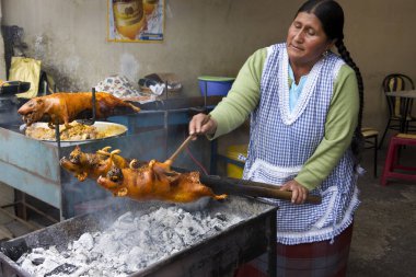 Ekvador 'un güneyindeki Cuenca' da Gine domuzları pişirmek pek çok Güney Amerika ülkesinin özellikle Ekvador ve Şili 'nin lezzeti olarak kabul edilir..