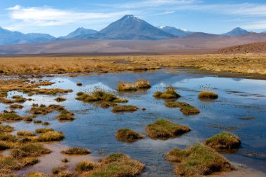 Güney Amerika 'nın kuzeyindeki Atacama Çölü bölgesinde Licancabur Volkanı (5600 m - 19300 ft) yakınlarındaki tuzlu su havuzları.