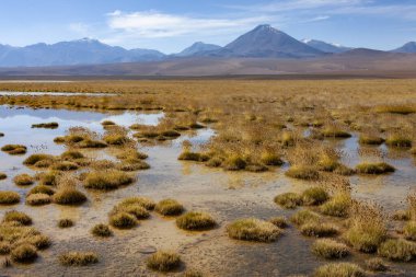 Güney Amerika 'nın kuzeyindeki Atacama Çölü bölgesinde Licancabur Volkanı (5600 m - 19300 ft) yakınlarındaki tuzlu su havuzları.