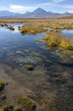 Güney Amerika 'nın kuzeyindeki Atacama Çölü bölgesinde Licancabur Volkanı (5600 m - 19300 ft) yakınlarındaki tuzlu su havuzları.