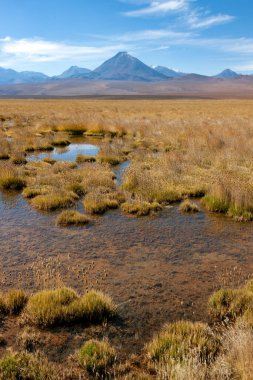 Güney Amerika 'nın kuzeyindeki Atacama Çölü bölgesinde Licancabur Volkanı (5600 m - 19300 ft) yakınlarındaki tuzlu su havuzları.