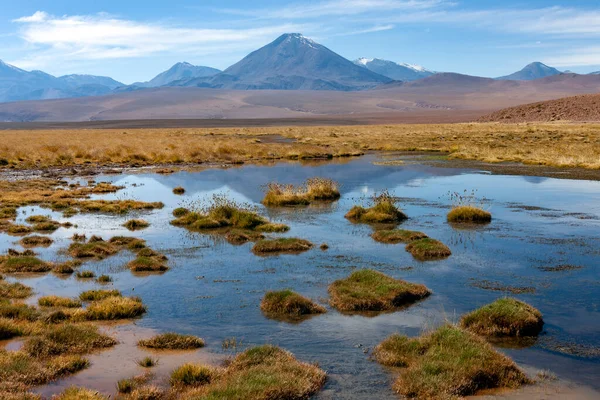 Piscinas Salmoura Perto Vulcão Mount Licancabur 5600M 19300Ft Região Deserto — Fotografia de Stock