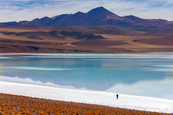 Tuyajto Salt Flats Lagoon High Altiplano Atacama Desert Antofagasta Region — Stock fotografie