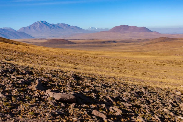 Τοπίο Της Υψηλής Altiplano Στην Έρημο Atacama Στην Περιοχή Antofagasta — Φωτογραφία Αρχείου