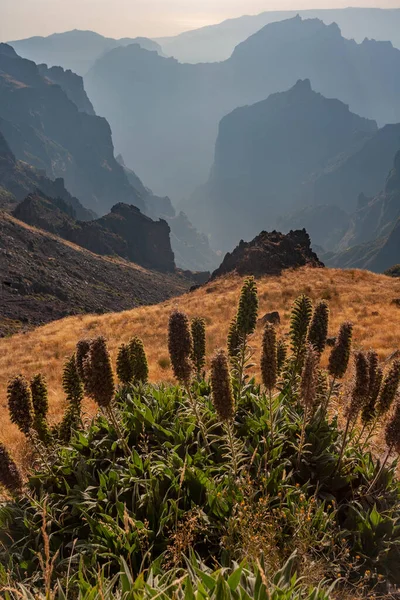 Kilátás Pico Arieiro Északi Felé Pico Ruivo Portugál Madeira Szigetén — Stock Fotó