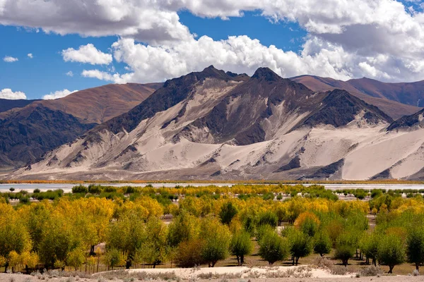 Paisaje Escénico Alto Meseta Tibetana Distrito Nedong Shannan Región Autónoma —  Fotos de Stock