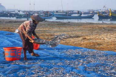 Geceler kuruyana kadar uzanmak. Rakhine Eyaleti Ngapali Balıkçılık Köyü, Myanmar (Burma).