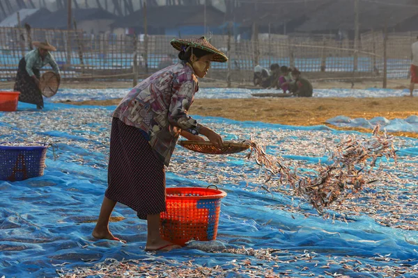 Legen Sie Die Nächte Fangen Trocknen Fischerdorf Ngapali Bundesstaat Rakhine — Stockfoto