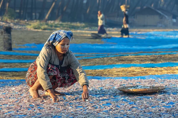 Legen Sie Die Nächte Fangen Trocknen Fischerdorf Ngapali Bundesstaat Rakhine — Stockfoto