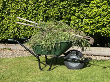 Bahçecilik - gübre yığını için yabani otlarla dolu bir el arabası.