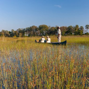Kuzey Botswana, Afrika 'daki Okavango Deltası' nın sazlıklarındaki makoro içinde turistler. Delta 'ya ulaşan tüm su sonunda buharlaşır ve okyanusa ya da denize akmaz..