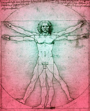Vitruvian Man, Leonardo da Vinci 'nin 1487 yılında yaptığı bir çizimdir. Buna mimar Vitruvius 'un çalışmalarına dayanan notlar eşlik eder. Kağıt üzerinde kalem ve mürekkep olan çizimlere bazen 