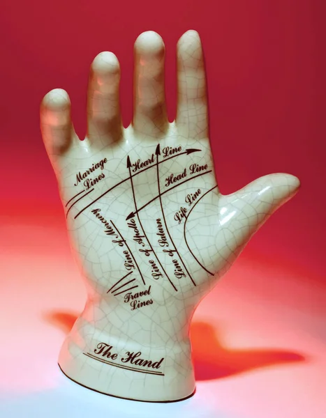 Palmistry Palm Reading Chiromancy Cheirology Practice Fortune Telling Study Palm — Stock fotografie