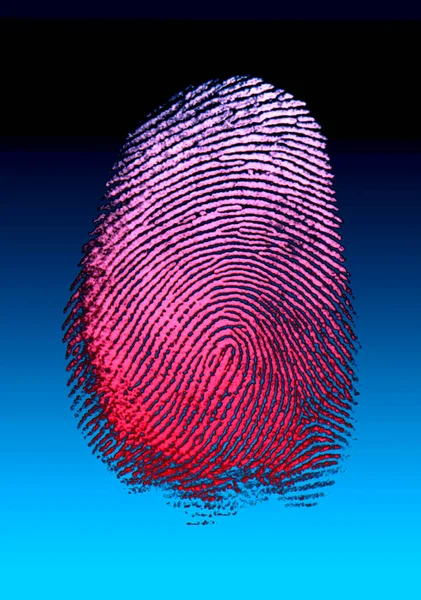 Fingerprints Impression Mark Made Surface Someones Fingertip Able Used Identifying — Stock Photo, Image