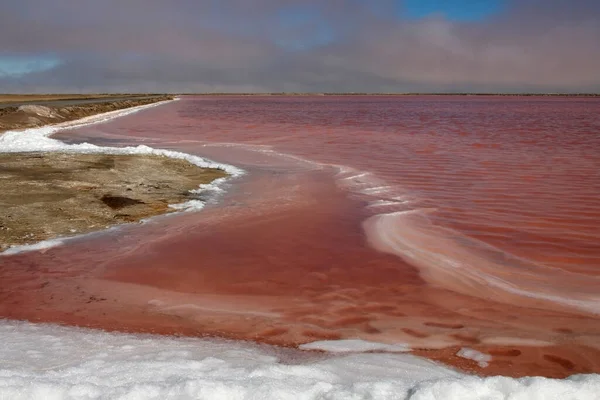 ナミビアのウォルビスベイ付近の塩水蒸発パン 赤い色は藻類によって引き起こされます — ストック写真