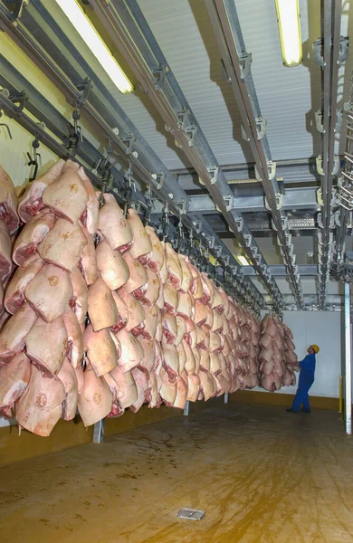 Tienda Fría Llena Cerdo Carne Cerdo Solo Carne Más Popular — Foto de Stock