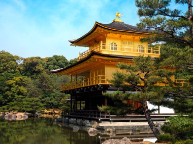 Japonya 'nın Kyoto şehrindeki Kinkaku-ji Altın Tapınağı. Altın Pavyon Tapınağı olarak da bilinir, bir Zen Budist tapınağı ve UNESCO Dünya Mirası alanıdır..