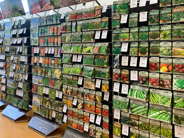 영국의한 센터에서 판매되는 식물성 씨앗의 광범위 — 스톡 사진