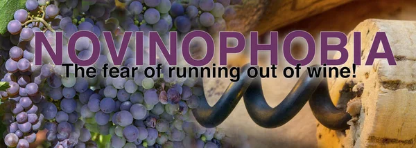 Novinophobia Fear Running Out Wine — Foto Stock