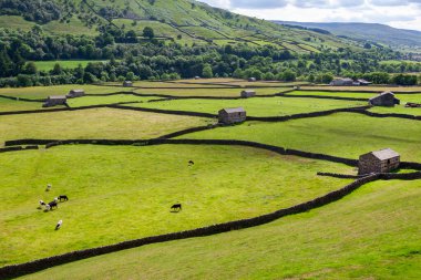 İngiltere 'nin kuzeydoğusundaki Yorkshire Dales çiftliğinde geleneksel kuru taş duvarlar ve ahırlar..