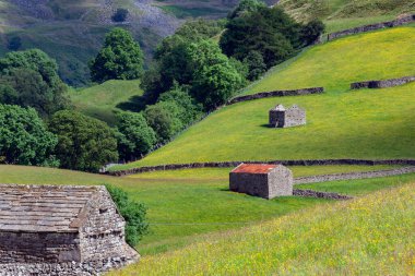 İngiltere 'nin kuzeydoğusundaki Yorkshire Dales çiftliğinde geleneksel kuru taş duvarlar ve ahırlar..