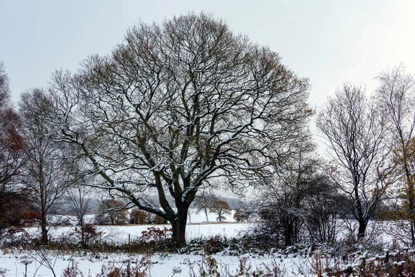 Zimowy Krajobraz Wsi North Yorkshire Zjednoczonym Królestwie — Zdjęcie stockowe