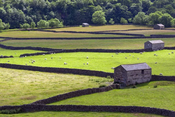 Traditionele Droge Stenen Muren Schuren Landbouwgrond Van Yorkshire Dales Het — Stockfoto
