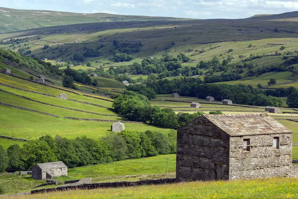 Ngiltere Nin Kuzeydoğusundaki Yorkshire Dales Çiftliğinde Geleneksel Kuru Taş Duvarlar — Stok fotoğraf