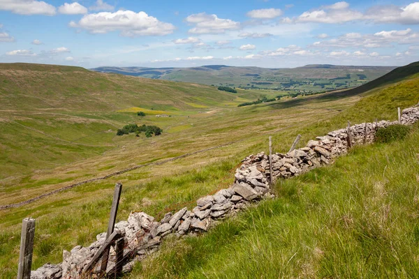 Muro Secco Tradizionale Vista Sulla Brughiera Nello Yorkshire Dales Nel — Foto Stock