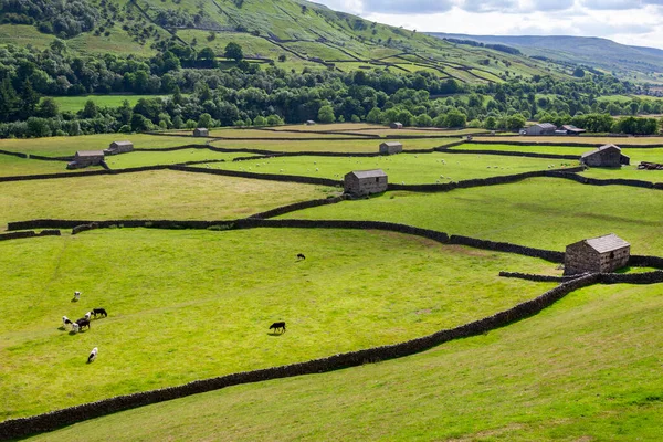 Traditionele Droge Stenen Muren Schuren Landbouwgrond Van Yorkshire Dales Het — Stockfoto