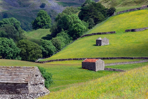 Traditional Dry Stone Walls Barns Farmland Yorkshire Dales Northeast England — Stock Photo, Image