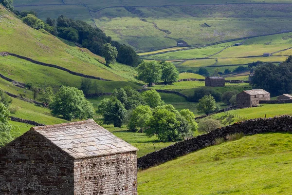 Ngiltere Nin Kuzeydoğusundaki Yorkshire Dales Çiftliğinde Geleneksel Kuru Taş Duvarlar — Stok fotoğraf