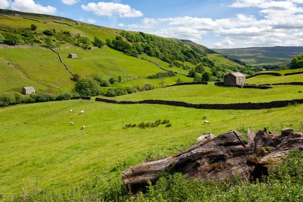 Paredes Tradicionales Piedra Seca Graneros Las Tierras Cultivo Yorkshire Dales — Foto de Stock