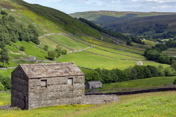 Ngiltere Nin Kuzeydoğusundaki Yorkshire Dales Çiftliğinde Geleneksel Kuru Taş Duvarlar — Stok fotoğraf