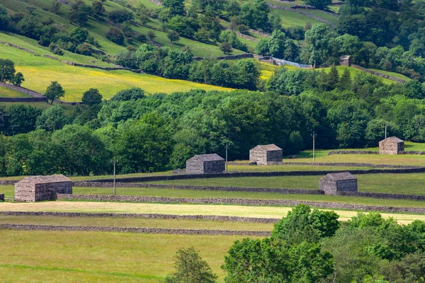 Muros Tradicionais Pedra Seca Celeiros Nas Terras Agrícolas Yorkshire Dales — Fotografia de Stock