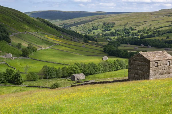 Ngiltere Nin Kuzeydoğusundaki Yorkshire Dales Çiftliğinde Geleneksel Kuru Taş Duvarlar — Stok fotoğraf