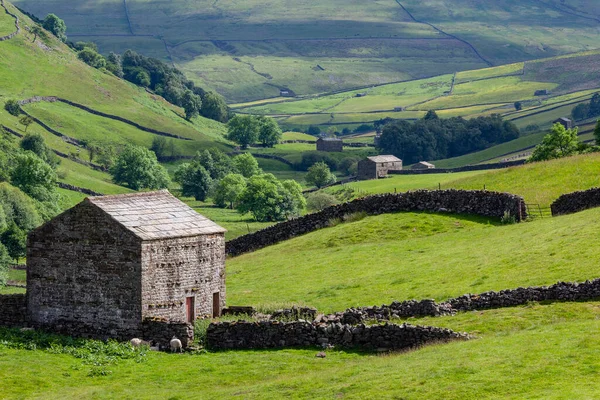 Murs Granges Traditionnels Pierre Sèche Dans Les Terres Agricoles Yorkshire — Photo