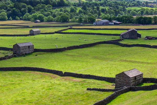Muri Fienili Tradizionali Pietra Secco Nei Terreni Agricoli Dello Yorkshire — Foto Stock