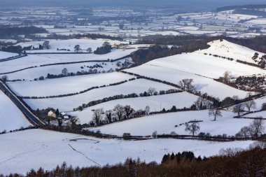 Thirsk yakınlarındaki Yorkshire kırsalında kar yağdı..