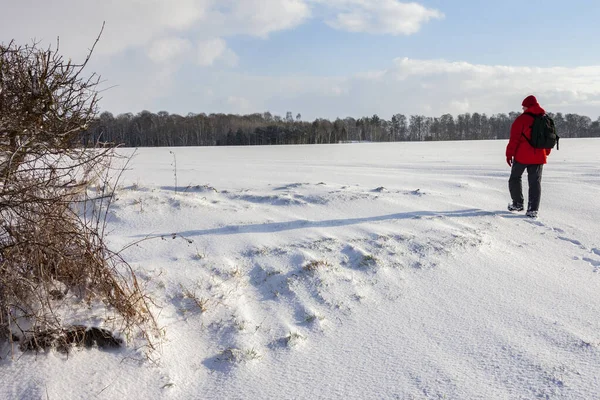 Зимняя Погода Заснеженном Поле Пригороде Северного Йоркшира Англия — стоковое фото