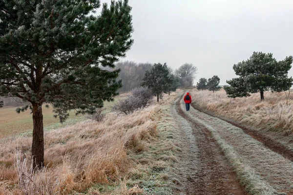 Paseo Por Campo Una Mañana Inviernos Helados Yorkshire Del Norte — Foto de Stock