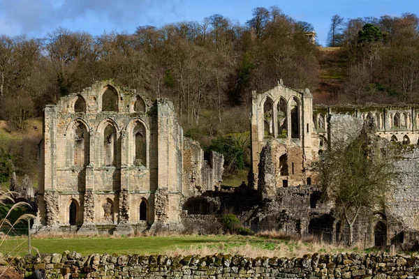 Rievaulx修道院的废墟 英格兰北约克郡 北摩尔国家公园Helmsley附近的一座锡斯琴修道院 — 图库照片