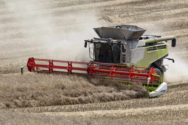 收获时间 联合收割者在英格兰北约克郡的农村收割油菜籽 — 图库照片
