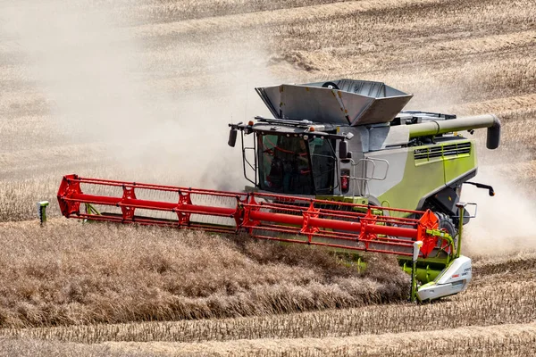 收获时间 联合收割者在英格兰北约克郡的农田上收割油菜籽 — 图库照片