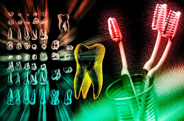 Zahngesundheit Set Menschlicher Zähne Und Zahnbürsten — Stockfoto